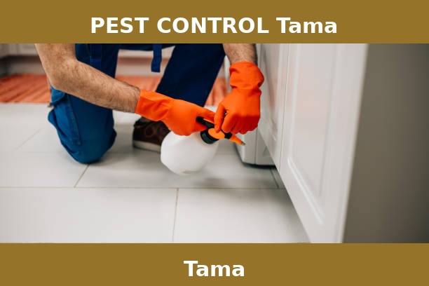 PEST CONTROL Tama